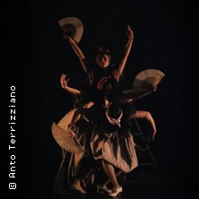 Ballet Flamenco - Théâtre des Champs-Elysées, Paris