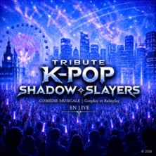 K-Pop Shadow Slayers - Tournée