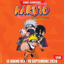 Naruto - Symphonic Experience - Ciné-Concert